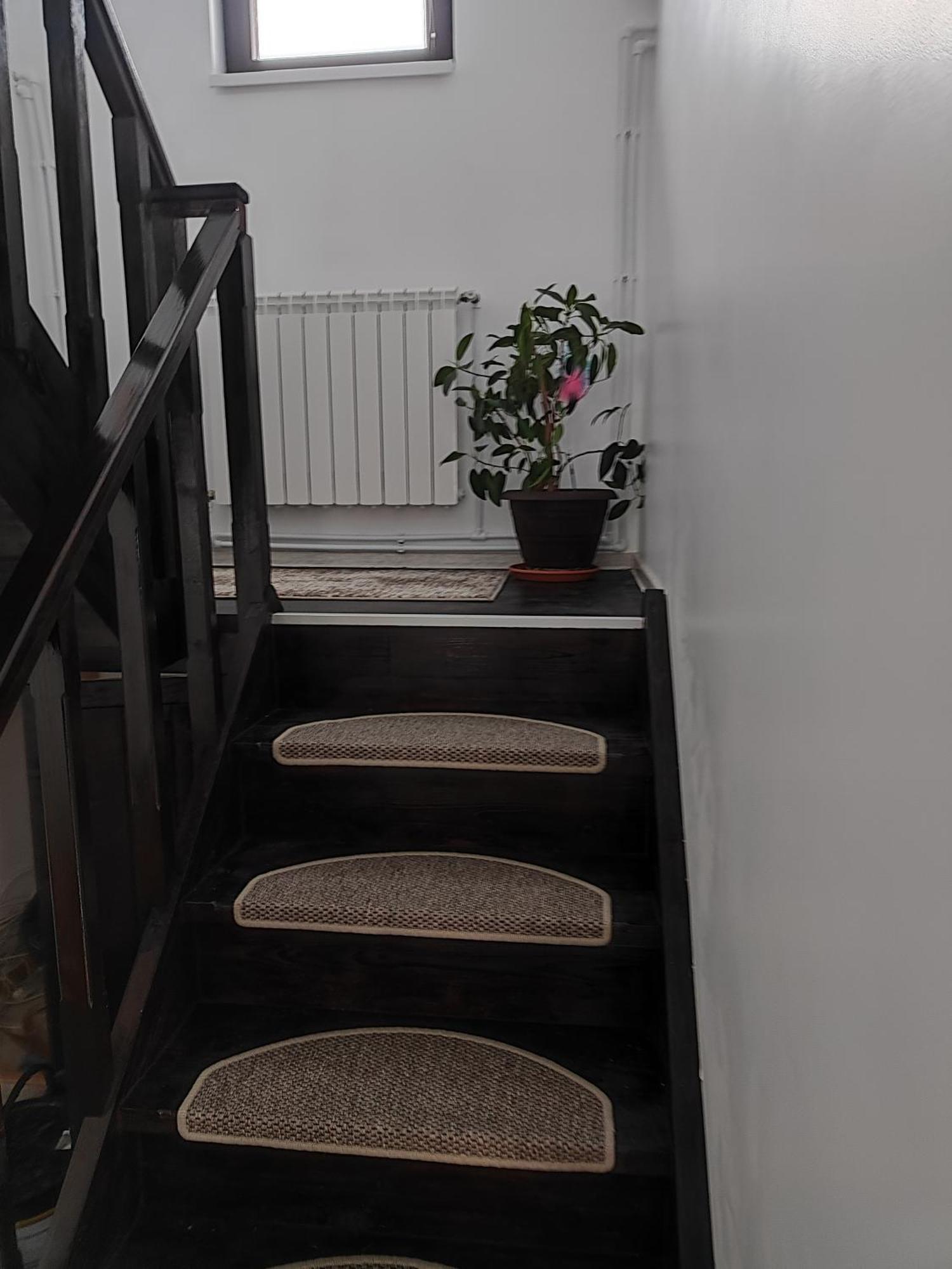 Vila Raisa Neagra Sarului Exterior foto